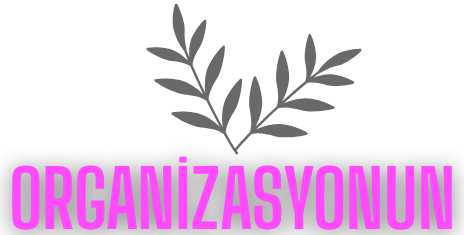 organizasyonun3